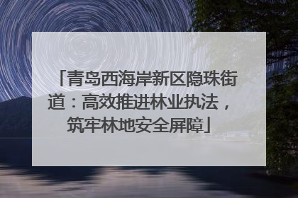 青岛西海岸新区隐珠街道：高效推进林业执法，筑牢林地安全屏障