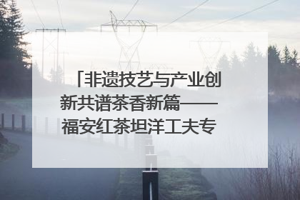 非遗技艺与产业创新共谱茶香新篇——福安红茶坦洋工夫专场推介会在京举办