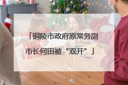 铜陵市政府原常务副市长何田被“双开”