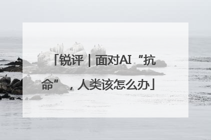 锐评｜面对AI“抗命”，人类该怎么办