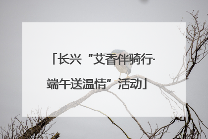 长兴“艾香伴骑行·端午送温情”活动