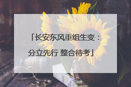长安东风重组生变：分立先行 整合待考