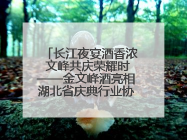 长江夜宴酒香浓 文峰共庆荣耀时——金文峰酒亮相湖北省庆典行业协会十周年盛典