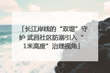 长江岸线的“双堤”守护 武昌社区防溺引入“1米高度”治理视角