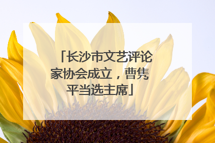 长沙市文艺评论家协会成立，曹隽平当选主席