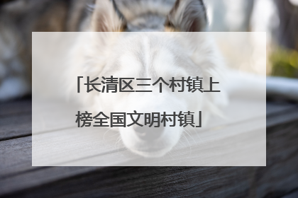 长清区三个村镇上榜全国文明村镇