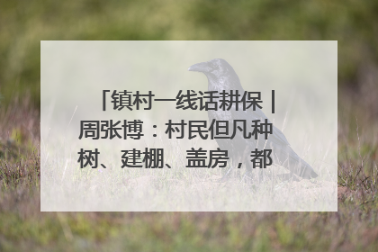 镇村一线话耕保｜周张博：村民但凡种树、建棚、盖房，都要向街道报批