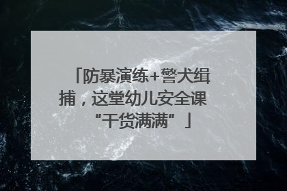 防暴演练+警犬缉捕，这堂幼儿安全课“干货满满”