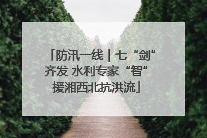 防汛一线｜七“剑”齐发 水利专家“智”援湘西北抗洪流