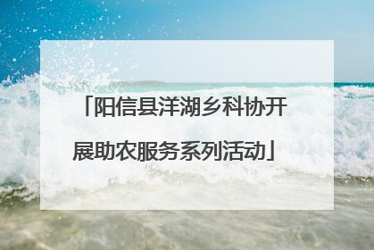 阳信县洋湖乡科协开展助农服务系列活动