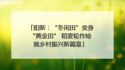阳新：“冬闲田”变身“黄金田” 稻麦轮作绘就乡村振兴新篇章