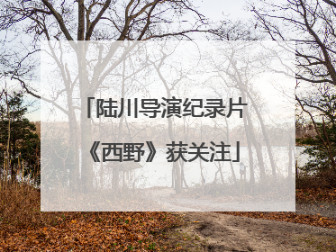 陆川导演纪录片《西野》获关注