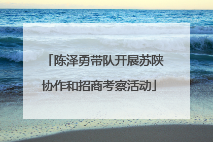 陈泽勇带队开展苏陕协作和招商考察活动