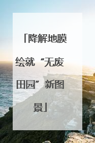 降解地膜绘就“无废田园”新图景