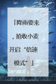 降雨要来，抢收小麦开启“倍速模式”