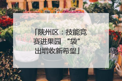 陕州区：技能竞赛进果园 “袋”出增收新希望