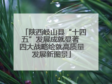 陕西岐山县“十四五”发展成就显著 四大战略绘就高质量发展新图景