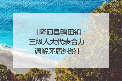 隆回县鸭田镇：三级人大代表合力调解矛盾纠纷