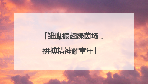 雏鹰振翅绿茵场，拼搏精神耀童年