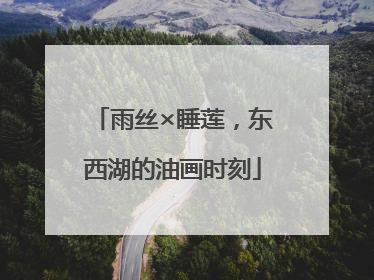 雨丝×睡莲，东西湖的油画时刻