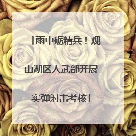 雨中砺精兵！观山湖区人武部开展实弹射击考核