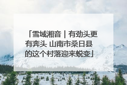 雪域湘音｜有劲头更有奔头 山南市桑日县的这个村落迎来蜕变