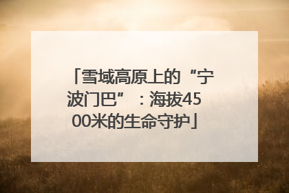 雪域高原上的“宁波门巴”：海拔4500米的生命守护