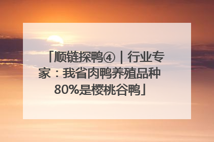 顺链探鸭④｜行业专家：我省肉鸭养殖品种80%是樱桃谷鸭