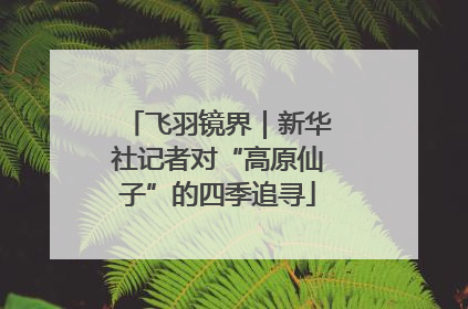 飞羽镜界｜新华社记者对“高原仙子”的四季追寻