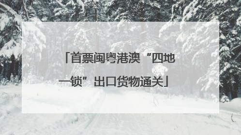 首票闽粤港澳“四地一锁”出口货物通关