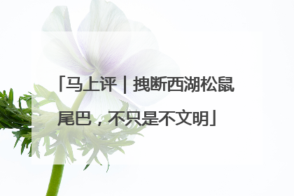 马上评｜拽断西湖松鼠尾巴，不只是不文明