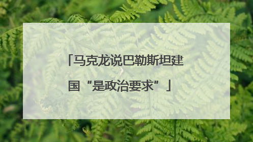 马克龙说巴勒斯坦建国“是政治要求”