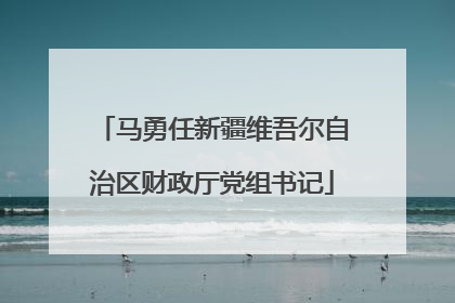 马勇任新疆维吾尔自治区财政厅党组书记