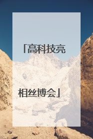 高科技亮相丝博会