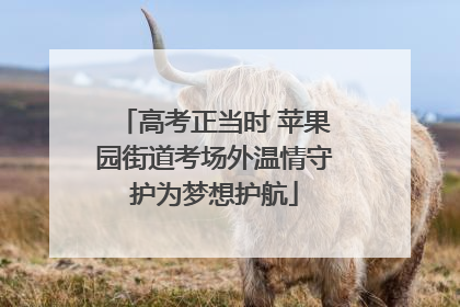 高考正当时 苹果园街道考场外温情守护为梦想护航