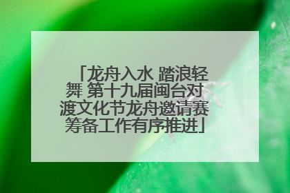 龙舟入水 踏浪轻舞 第十九届闽台对渡文化节龙舟邀请赛筹备工作有序推进