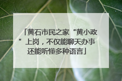 黄石市民之家“黄小政”上岗，不仅能聊天办事还能听懂多种语言