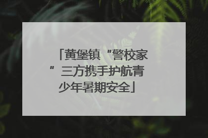 黄堡镇“警校家”三方携手护航青少年暑期安全