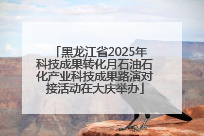 黑龙江省2025年科技成果转化月石油石化产业科技成果路演对接活动在大庆举办