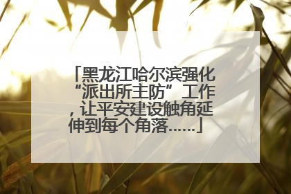 黑龙江哈尔滨强化“派出所主防”工作，让平安建设触角延伸到每个角落……
