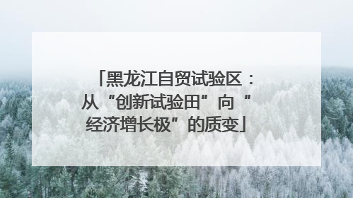黑龙江自贸试验区：从“创新试验田”向“经济增长极”的质变