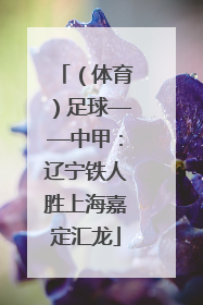 （体育）足球——中甲：辽宁铁人胜上海嘉定汇龙