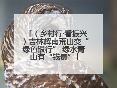 （乡村行·看振兴）吉林辉南荒山变“绿色银行” 绿水青山有“钱景”