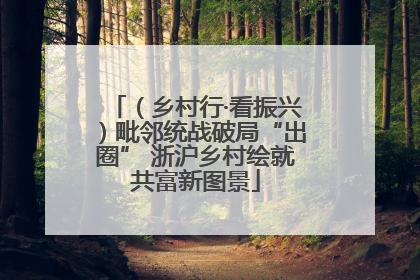 （乡村行·看振兴）毗邻统战破局“出圈” 浙沪乡村绘就共富新图景