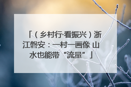 （乡村行·看振兴）浙江磐安：一村一画像 山水也能带“流量”