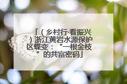 （乡村行·看振兴）浙江黄岩水源保护区蝶变：“一根金枝”的共富密码