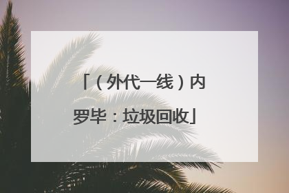 （外代一线）内罗毕：垃圾回收