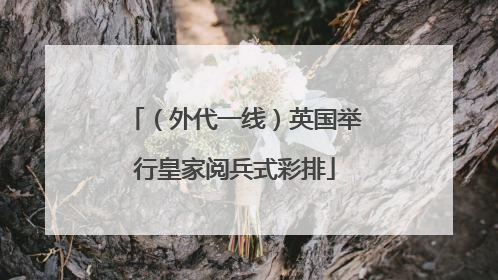 （外代一线）英国举行皇家阅兵式彩排