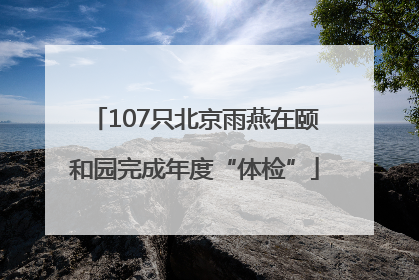 107只北京雨燕在颐和园完成年度“体检”