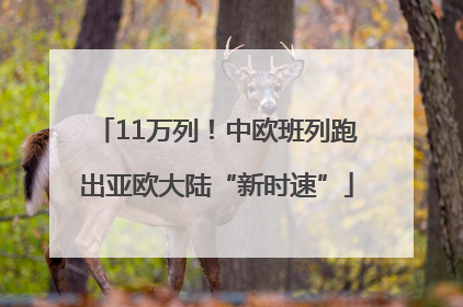 11万列！中欧班列跑出亚欧大陆“新时速”